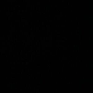 Meet your Posher, Perla